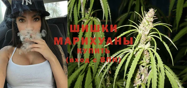 ПСИЛОЦИБИНОВЫЕ ГРИБЫ Заволжск