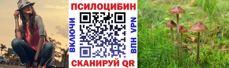 Галлюциногенные грибы MAGIC MUSHROOMS что такое наркотик Зея